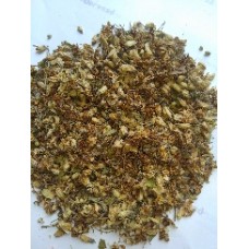 Moringa Dry Flower