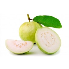GUAVA - ALAHABAD WHITE VARIETY GRADE  -1 PREMIUM