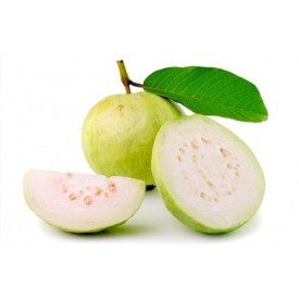 GUAVA - ALAHABAD WHITE VARIETY   GRADE  - 2 